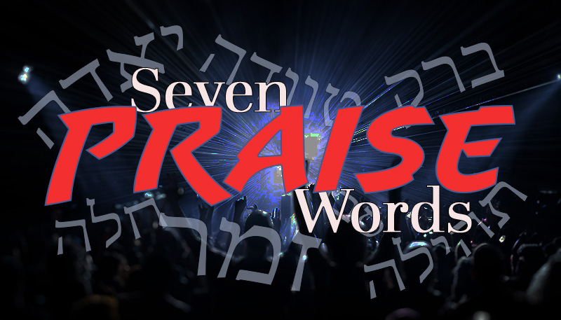 New Life Church | Messages